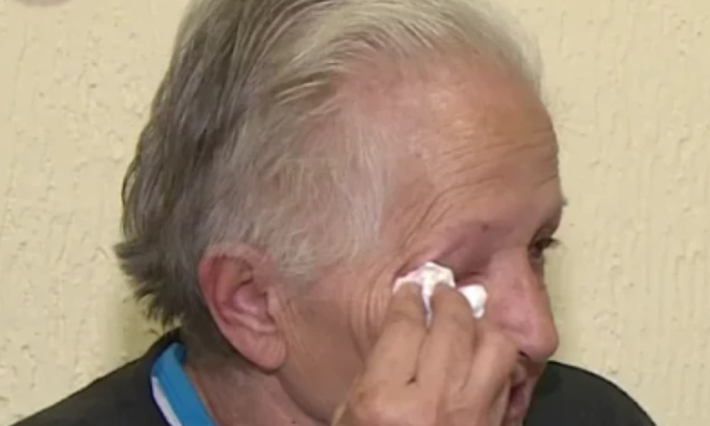 Milica Veličković baka