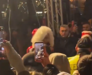 Jelena Karleuša