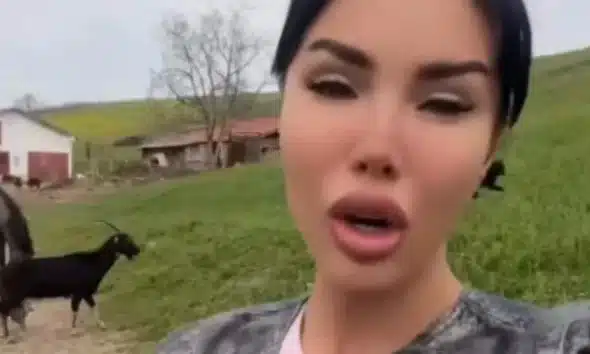 Aleksandra Subotić otvoreno pismo Stanija Dobrojević