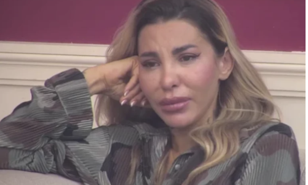 aneli ahmić kazna veliki šef