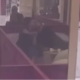 Asmin i Anita se ljube