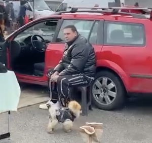 taki marinković maja ugovor cifra